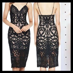 Bardot Gia Embroidered Mesh Cocktail Dress Size Large (fits size 10-12)